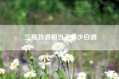 三瓶劲酒相当于多少白酒