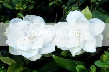 劲酒可以兑什么喝