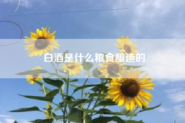 白酒是什么粮食酿造的