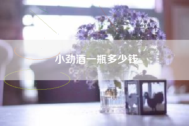 小劲酒一瓶多少钱