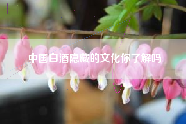 中国白酒隐藏的文化你了解吗