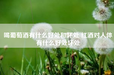 喝葡萄酒有什么好处和坏处 红酒对人体有什么好处坏处