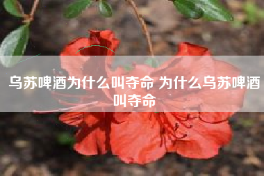 乌苏啤酒为什么叫夺命 为什么乌苏啤酒叫夺命