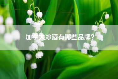 加拿大冰酒有哪些品牌？