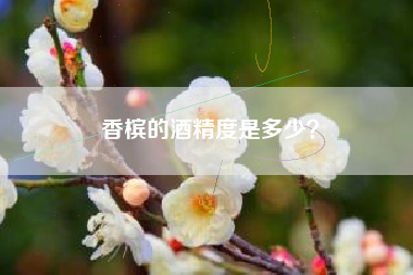 香槟的酒精度是多少？
