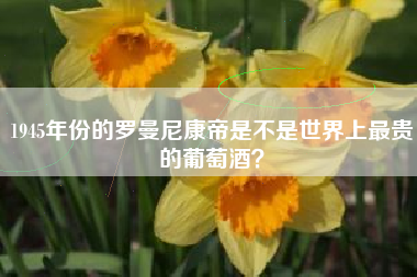 1945年份的罗曼尼康帝是不是世界上最贵的葡萄酒？
