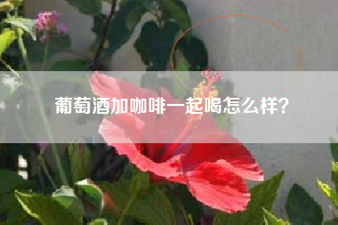 葡萄酒加咖啡一起喝怎么样？