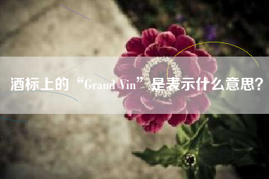 酒标上的“Grand Vin”是表示什么意思？