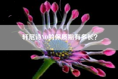 轩尼诗XO的保质期有多长？