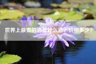 世界上最贵的酒是什么酒？价格多少？