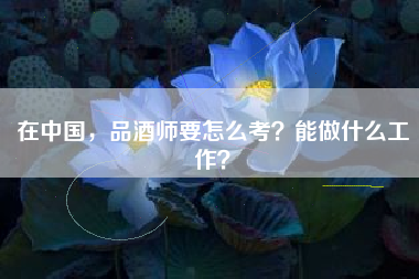 在中国，品酒师要怎么考？能做什么工作？