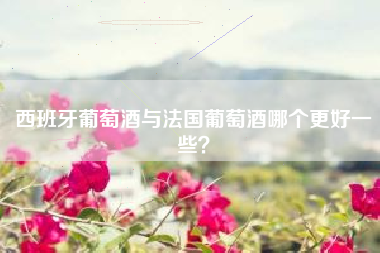 西班牙葡萄酒与法国葡萄酒哪个更好一些？