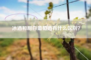 冰酒和甜白葡萄酒有什么区别？