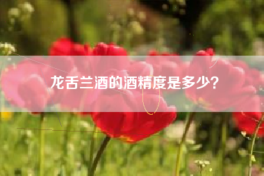 龙舌兰酒的酒精度是多少？