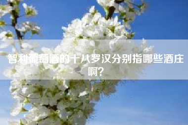 智利葡萄酒的十八罗汉分别指哪些酒庄啊？