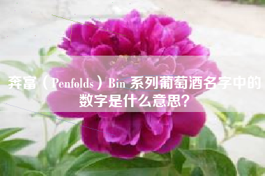 奔富（Penfolds）Bin 系列葡萄酒名字中的数字是什么意思？